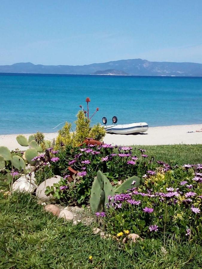 Cozy Maisonette In Pefkochori Chalkidiki المظهر الخارجي الصورة