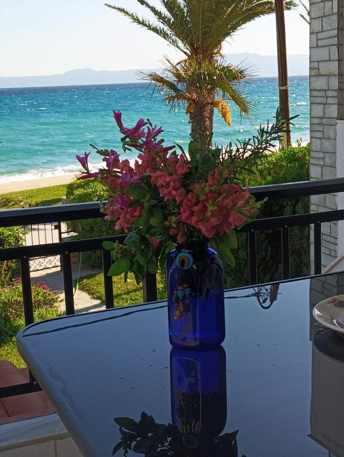 Cozy Maisonette In Pefkochori Chalkidiki المظهر الخارجي الصورة