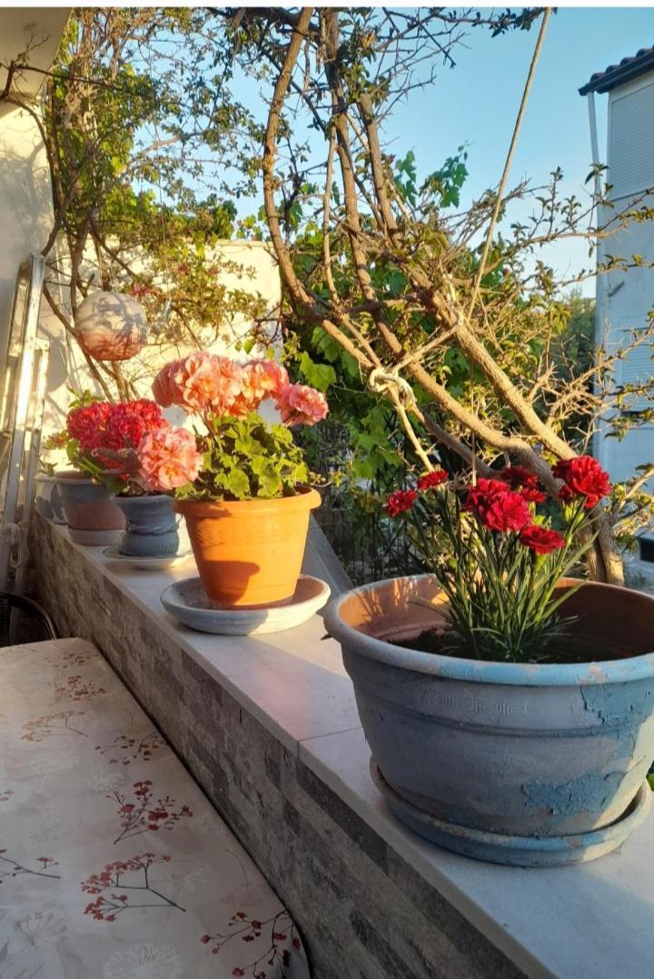 Cozy Maisonette In Pefkochori Chalkidiki المظهر الخارجي الصورة